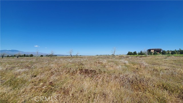 Detail Gallery Image 4 of 24 For 0 263rd St West North of Ave C13, –,  CA 93536 - – Beds | – Baths