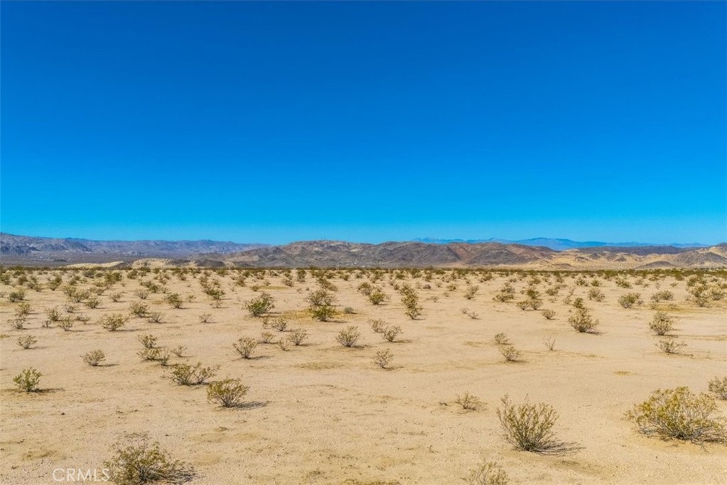 MLS #JT25225678 image #18