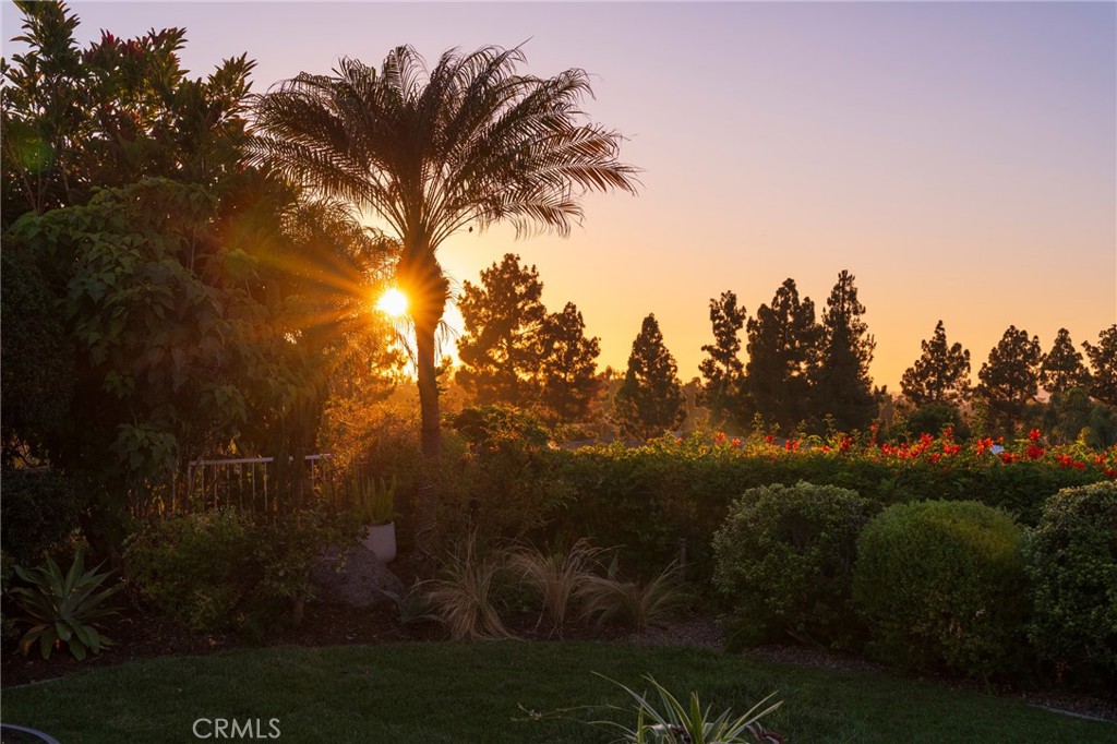 https://media.crmls.org/medias/1f3200cc-7b66-42c6-a8a8-030bd2181e17.jpg?preset=X-Large