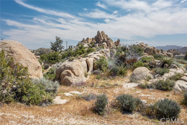 Detail Gallery Image 6 of 44 For 5550 Carlsbad Ave, Yucca Valley,  CA 92284 - 2 Beds | 2 Baths