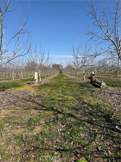 Detail Gallery Image 8 of 18 For 0 Mcfadden Ln, Chico,  CA 95928 - – Beds | – Baths