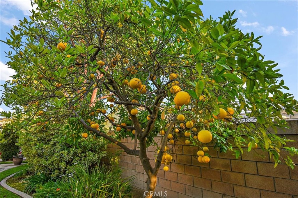https://media.crmls.org/medias/1f3b416c-66f4-4c9d-922e-cd318ddefbca.jpg?preset=X-Large