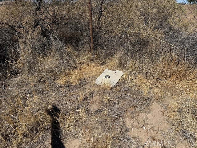 9875 Braceo Street, Oak Hills CA: https://media.crmls.org/medias/1f3bbdc0-e1b6-40f2-af7d-c4d127a4b627.jpg