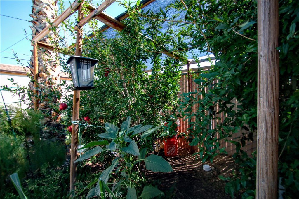 MLS #OC25216767 image #36