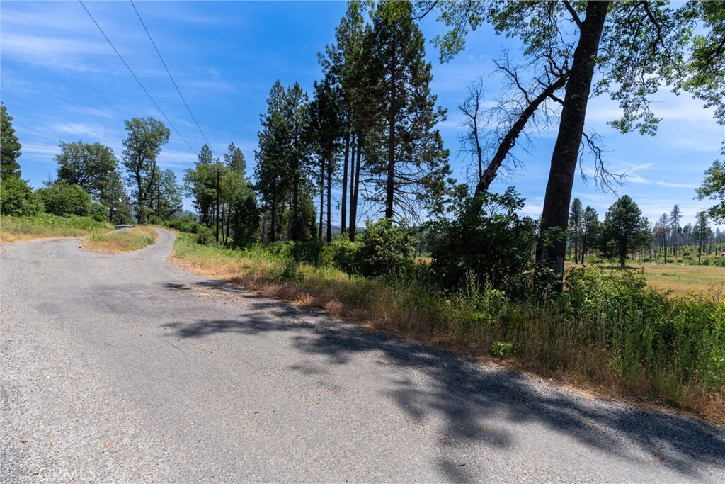 MLS #SN25260902 image #7