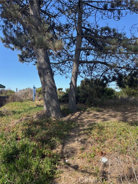0 Smith Avenue, Oceano CA: https://media.crmls.org/medias/1f3f8cd3-ce9f-4ac5-94db-76ee3aab403d.jpg
