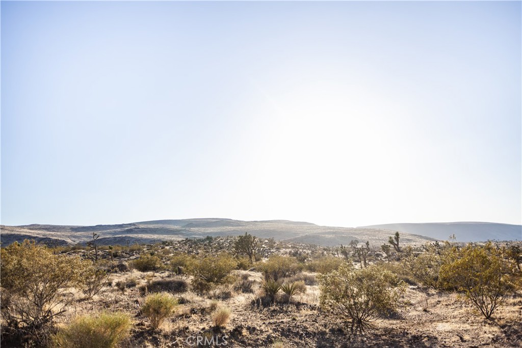 https://media.crmls.org/medias/1f49602e-c68e-40d7-b8ec-0e2b82e5c2d1.jpg?preset=X-Large