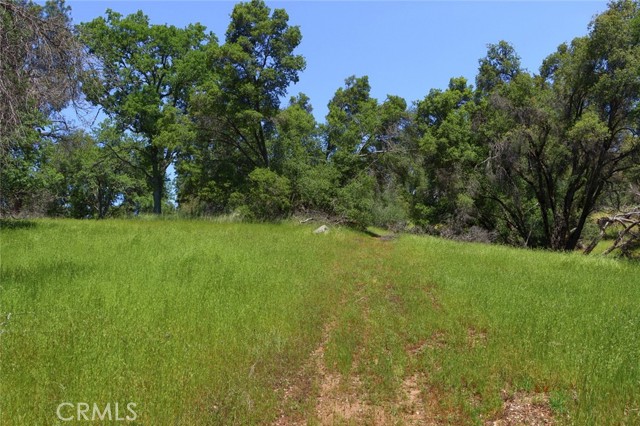 Detail Gallery Image 4 of 9 For 0 19.6 Ac Quail Dr, Oakhurst,  CA 93644 - – Beds | – Baths
