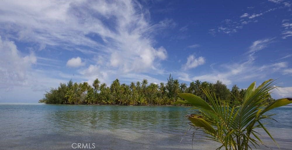 https://media.crmls.org/medias/1f518594-f587-4235-8b38-ce1e0731d2c9.jpg?preset=X-Large
