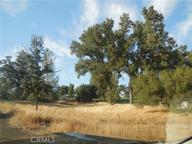 Detail Gallery Image 6 of 10 For 1 Acre Griffin Dr, Oakhurst,  CA 93644 - – Beds | – Baths