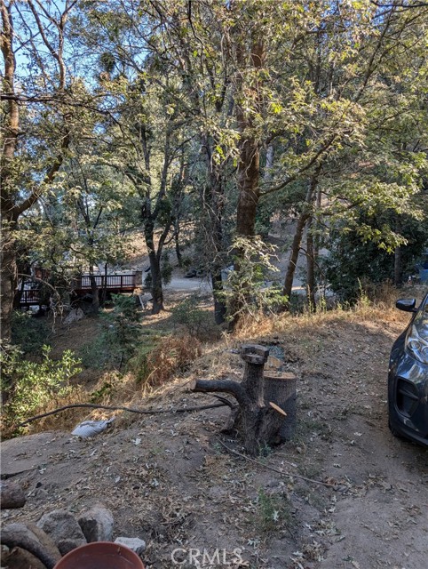 0 Scenic View, Crestline CA: https://media.crmls.org/medias/1f552b90-cca6-42d0-bba0-e2c328e521f2.jpg