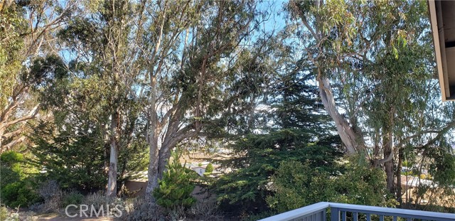 599 Henrietta Avenue, Los Osos CA: https://media.crmls.org/medias/1f55d681-b9dd-48b5-9a23-2524b6068f01.jpg