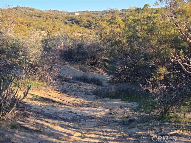 Detail Gallery Image 10 of 12 For 0 Everett, Anza,  CA 92539 - – Beds | – Baths