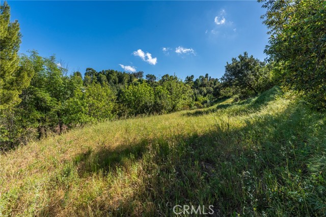 Detail Gallery Image 2 of 22 For 4551 Lindley Ave, Tarzana,  CA 91356 - – Beds | – Baths