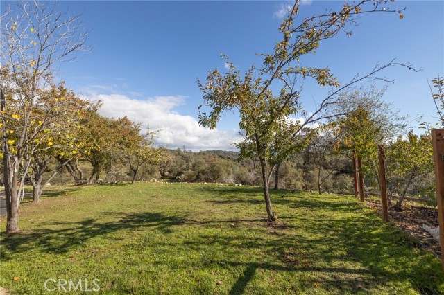 Detail Gallery Image 48 of 75 For 30301 Longview Ln, Coarsegold,  CA 93614 - 3 Beds | 2 Baths