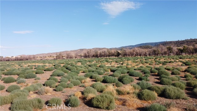 Detail Gallery Image 7 of 14 For 0 3279-001-036 Three Points Rd, Lancaster,  CA 93536 - – Beds | – Baths