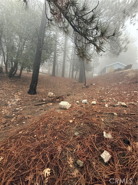 Detail Gallery Image 6 of 14 For 0 Poplar, Running Springs,  CA 92382 - – Beds | – Baths