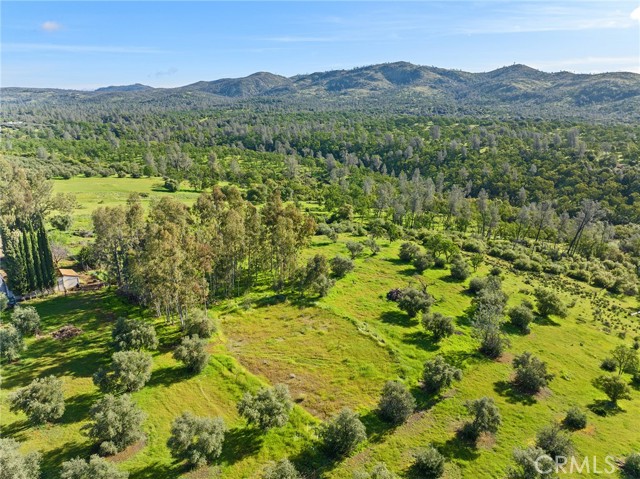 Detail Gallery Image 46 of 52 For 32 Mission Olive Ct, Oroville,  CA 95966 - 3 Beds | 2/1 Baths