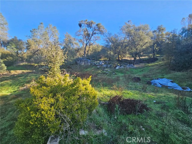 Detail Gallery Image 22 of 49 For 50814 Road 200, O Neals,  CA 93645 - 3 Beds | 3 Baths