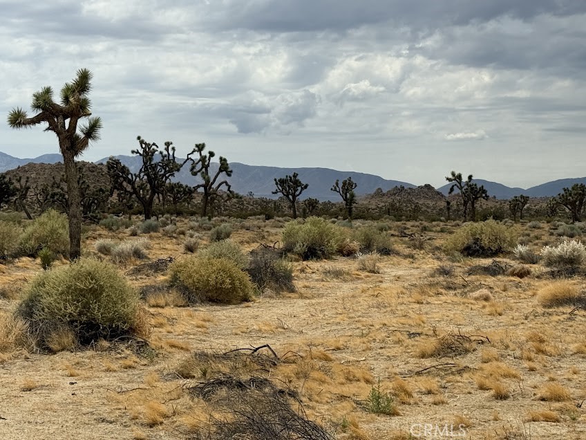 MLS #SR26165095 image #59