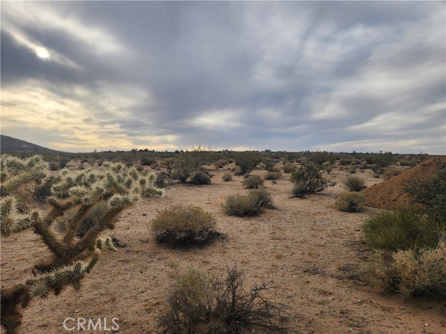 Detail Gallery Image 13 of 23 For 4147 Sunburst St, Joshua Tree,  CA 92252 - – Beds | – Baths