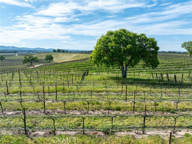 Detail Gallery Image 6 of 31 For 4647 Buena Vista Dr, Paso Robles,  CA 93446 - 2 Beds | 1 Baths