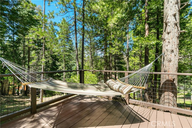 Relax on the hammock on the back deck