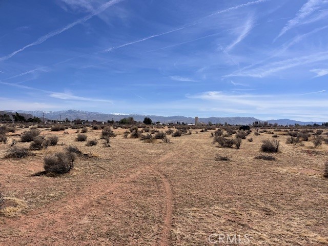 MLS #HD25222307 image #5