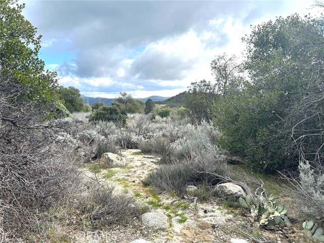 Detail Gallery Image 28 of 29 For 0 Oak Rd, Anza,  CA 92539 - – Beds | – Baths