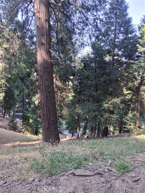 61 Evergreen Drive, Cedarpines Park CA: https://media.crmls.org/medias/1f8705d1-03f7-4d1a-ae59-cec3c6d88018.jpg