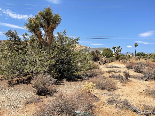 Detail Gallery Image 6 of 7 For 55740 Desert Gold Dr, Yucca Valley,  CA 92284 - – Beds | – Baths