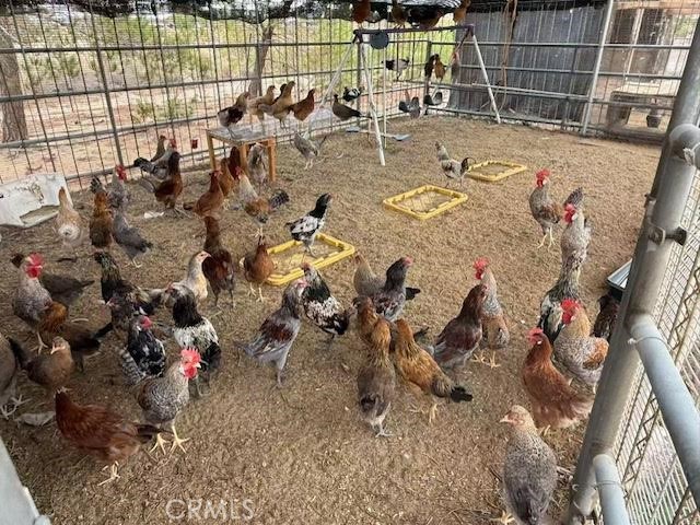 Detail Gallery Image 2 of 16 For 33979 Fremont Rd, Newberry Springs,  CA 92365 - 3 Beds | 2 Baths