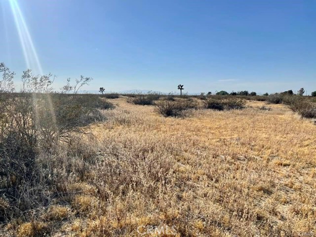 2 Vac/150 Ste/Vic Avenue K12, Lancaster, California 93535, ,Land,For Sale,2 Vac/150 Ste/Vic Avenue K12,CREV23196943