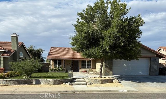 Front Image Thumbnail for CRSB26147271