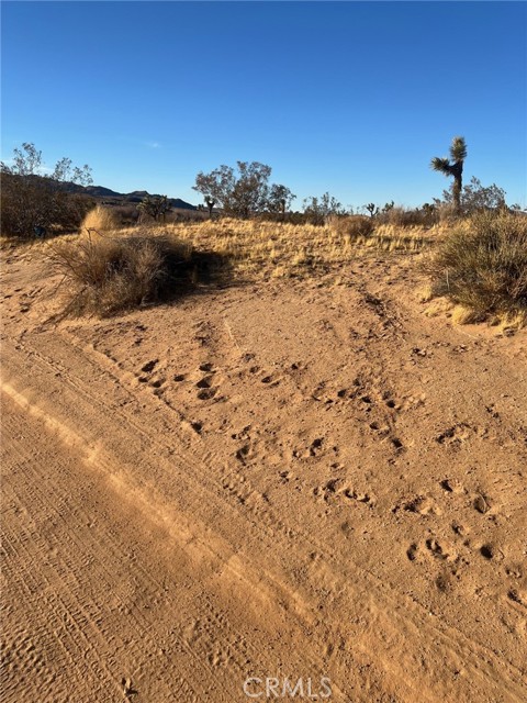 Detail Gallery Image 3 of 4 For 0 Jackson Rd., Apple Valley,  CA 92307 - – Beds | – Baths