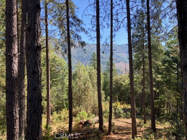 0 Tawny, Lakehead, CA, 96051 0 Tawny, Lakehead, CA, 96051