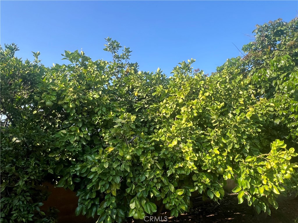 https://media.crmls.org/medias/1fa34862-d35c-46fa-b784-98d6341ec6bb.jpg?preset=X-Large