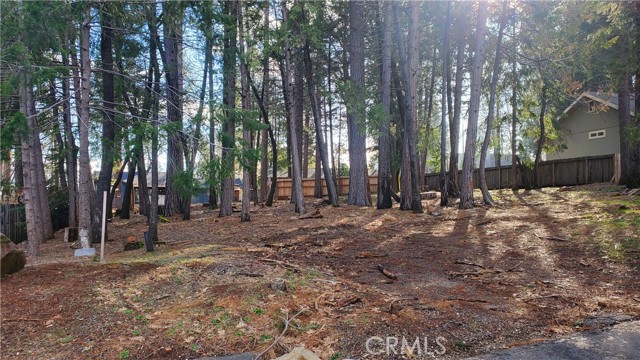 Front Image Thumbnail for CRSN26060956