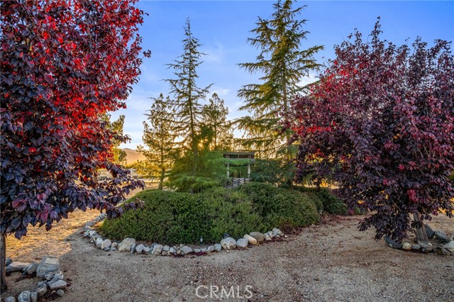 Detail Gallery Image 27 of 44 For 388 Calaveras Rd, Pinon Hills,  CA 92372 - 3 Beds | 2 Baths