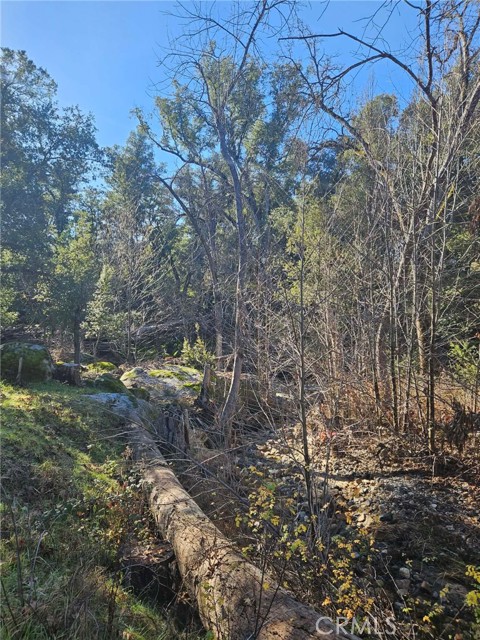 Detail Gallery Image 21 of 51 For 59366 Road 225, North Fork,  CA 93643 - – Beds | – Baths