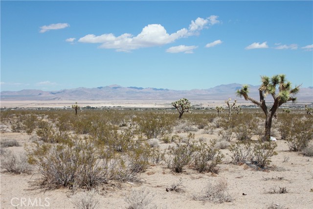 Detail Gallery Image 59 of 71 For 769 Meridian Rd, Lucerne Valley,  CA 92356 - – Beds | – Baths