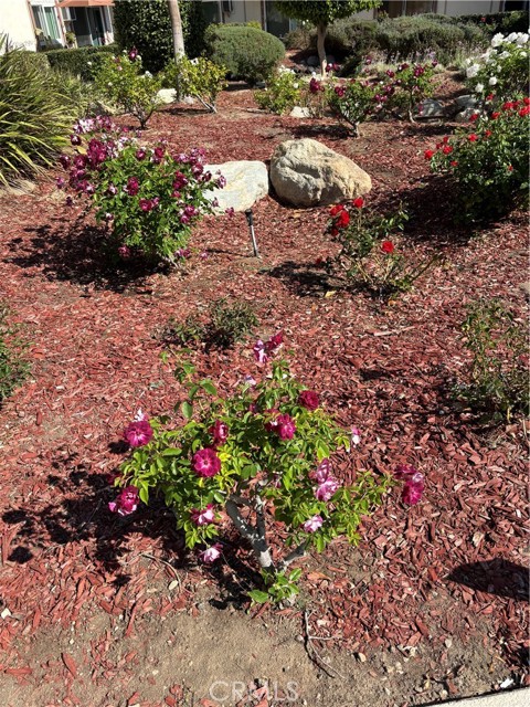 Detail Gallery Image 20 of 21 For 5585 E Pacific Coast Hwy #154,  Long Beach,  CA 90804 - 2 Beds | 2 Baths