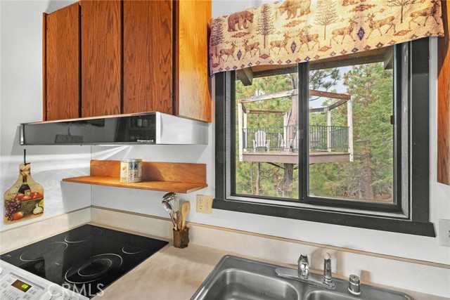 1281 Sand Canyon, Big Bear Lake CA: https://media.crmls.org/medias/1fb87c90-2d1d-4145-96cf-3eb04c075b84.jpg