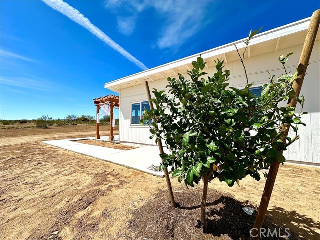 Detail Gallery Image 18 of 52 For 2250 Delgada Ave, Landers,  CA 92285 - 1 Beds | 1 Baths