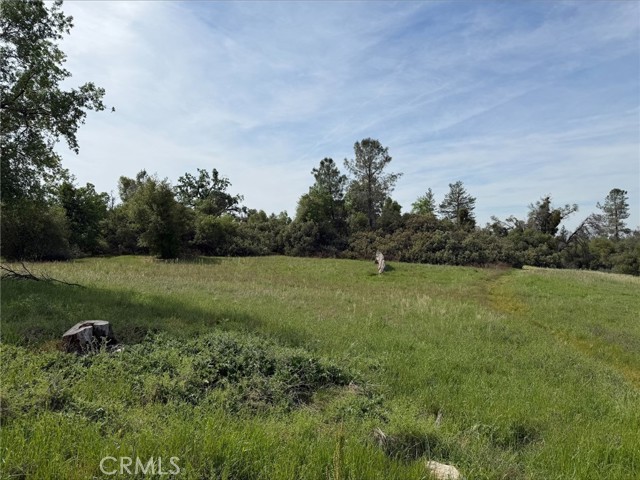 Detail Gallery Image 6 of 8 For 5 Acres Mountain Springs Rd, North Fork,  CA 93643 - – Beds | – Baths