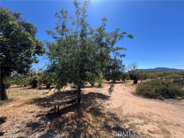 Detail Gallery Image 44 of 53 For 54279 Bautista Canyond Rd, Anza,  CA 92539 - 3 Beds | 2/1 Baths