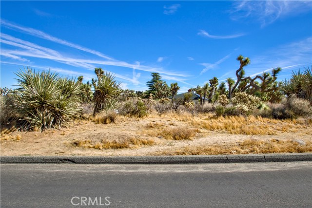 Detail Gallery Image 2 of 21 For 25 Lot 25 Joshua Dr, Yucca Valley,  CA 92284 - – Beds | – Baths