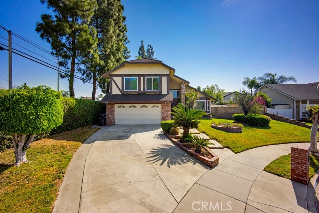 Front Image Thumbnail for CROC26063848