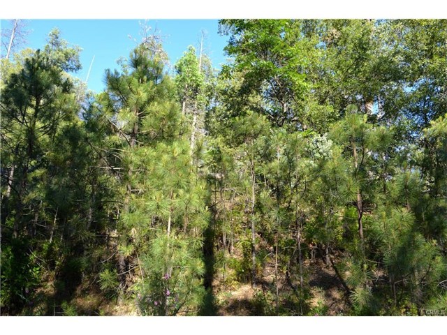 50 Dogwood Creek, Bass Lake, CA, 93604 50 Dogwood Creek, Bass Lake, CA, 93604
