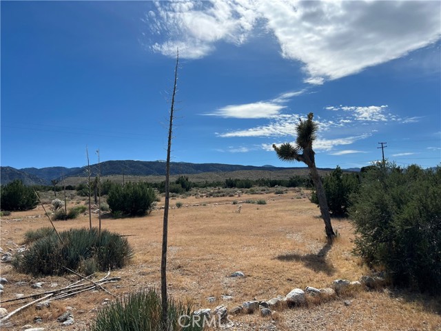 Detail Gallery Image 18 of 21 For 30837 235th, Llano,  CA 93544 - 1 Beds | 1 Baths